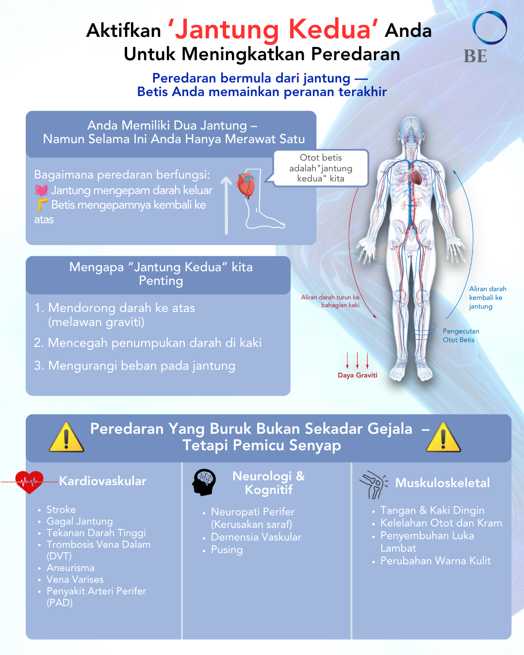 Kaki Lelah dan Tangan Dingin? Mengapa “Jantung Kedua” Anda Mungkin Menjadi Kunci Sirkulasi yang Lebih Baik